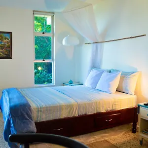 moonlight-beach-studio-montego-bay-club.hotelsmontegobay.org/